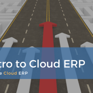 Oracle Cloud ERP 101